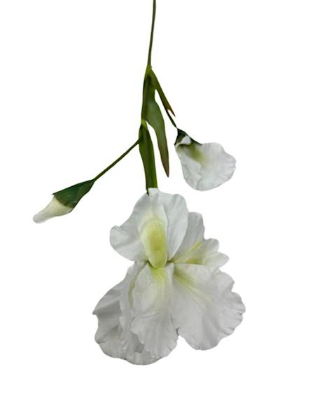 IRYS GAŁĄZKA 77 CM BIAŁY