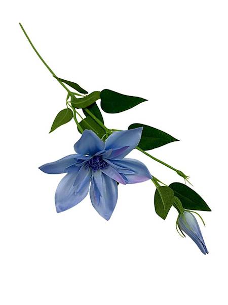 Klematis gałązka 48 cm jasny niebieski