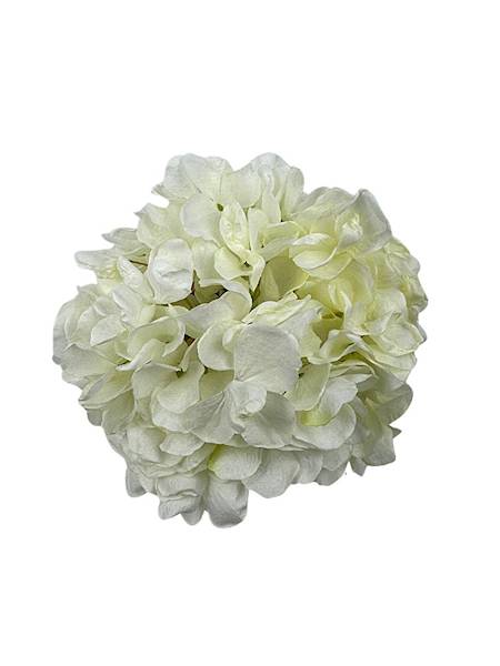 Hortensja główka XL 25 cm biała