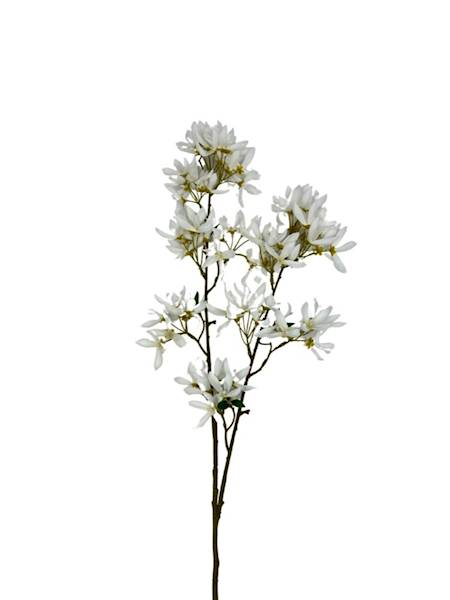 JAŚMIN GAŁĄZKA 120 CM