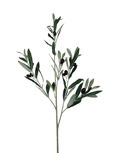 Gałązka oliwna 110 cm