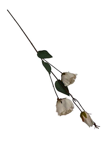 Eustoma jesienna gałązka 82 cm beż