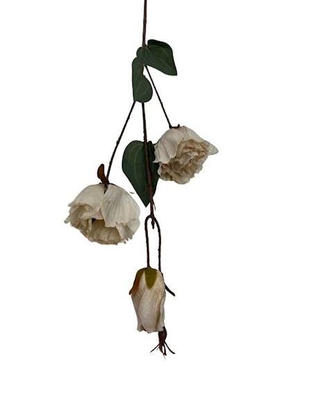 Eustoma jesienna gałązka 82 cm beż