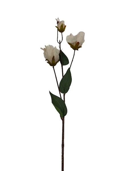 Eustoma jesienna gałązka 82 cm beż