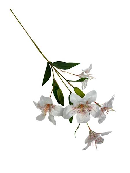 Liliowiec gałązka 74 cm biały z nakropieniami