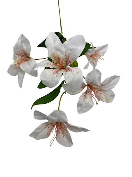 Liliowiec gałązka 74 cm biały z nakropieniami