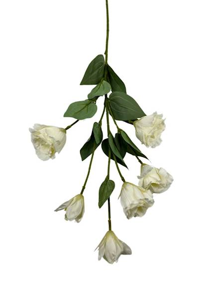 EUSTOMA GAŁĄZKA 78 CM JASNY KREMOWY