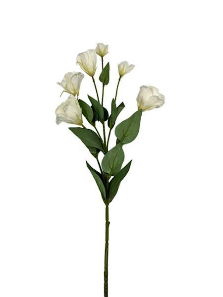 EUSTOMA GAŁĄZKA 78 CM JASNY KREMOWY
