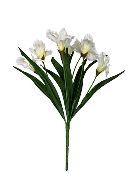 BUKIET IRYSY 45 CM BIAŁE