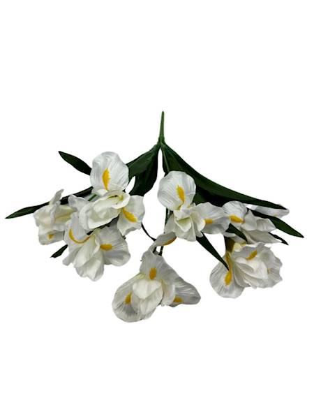 BUKIET IRYSY 45 CM BIAŁE