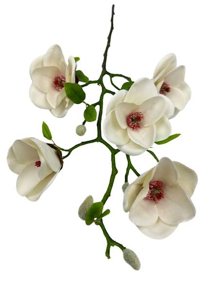 MAGNOLIA GAŁĄZKA 70 CM KREMOWA