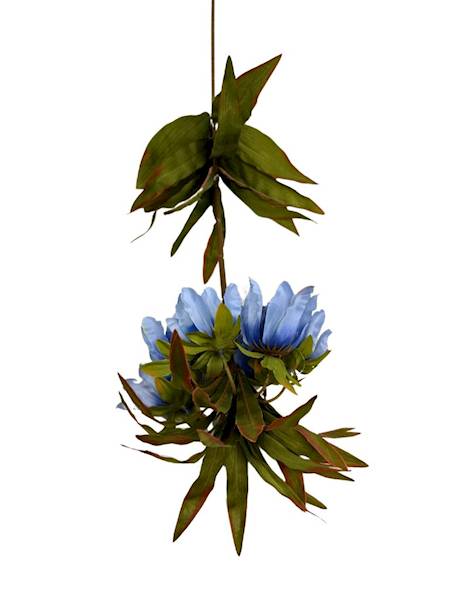 Szachownica cesarska gałązka 76 cm niebieska