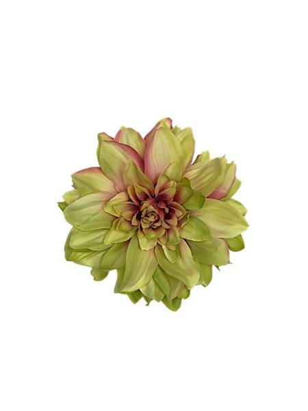 Dalia główka 15 cm zielona
