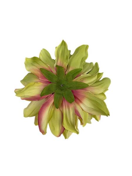 Dalia główka 15 cm zielona