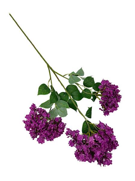 Bez gałązka 80 cm fuksja