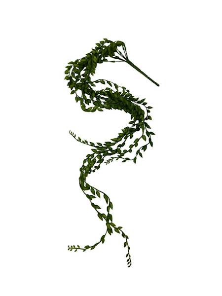 SENECIO ZWIS PNĄCZE 90 CM ZIELONE