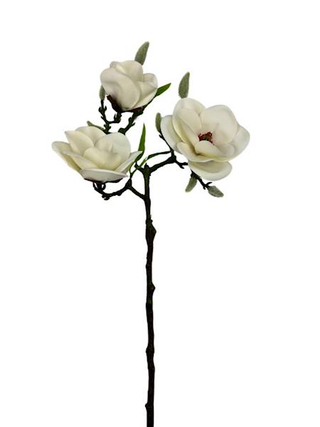 MAGNOLIA GAŁĄZKA 55 CM KREMOWA