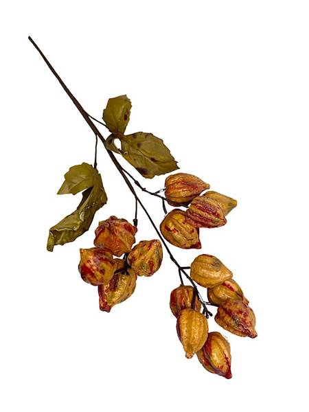 Miechunka gałązka 50 cm pomarańczowa