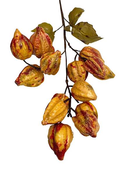 Miechunka gałązka 50 cm pomarańczowa