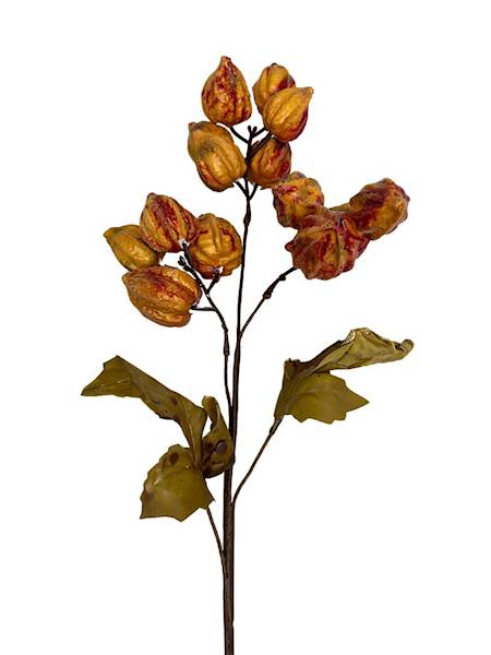 Miechunka gałązka 50 cm pomarańczowa