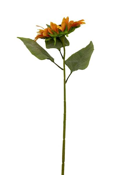 Słonecznik gałązka XL 75 cm