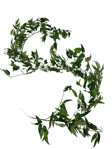 Ruskus girlanda 155 cm