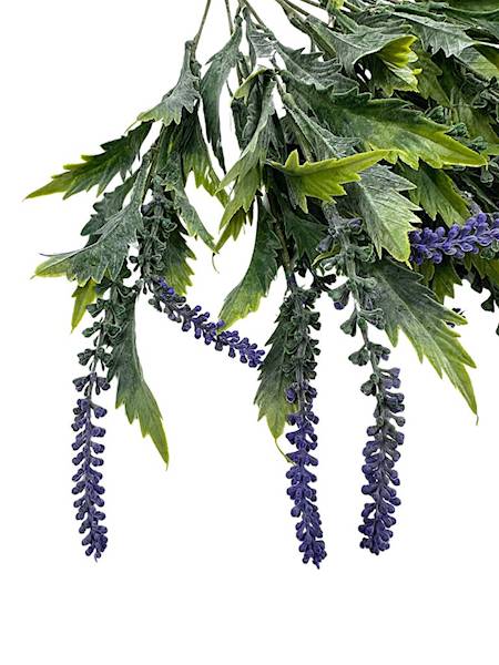 Lawenda bukiet 55 cm