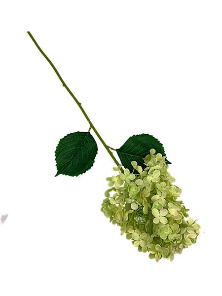 Hortensja gałązka 76 cm zielona