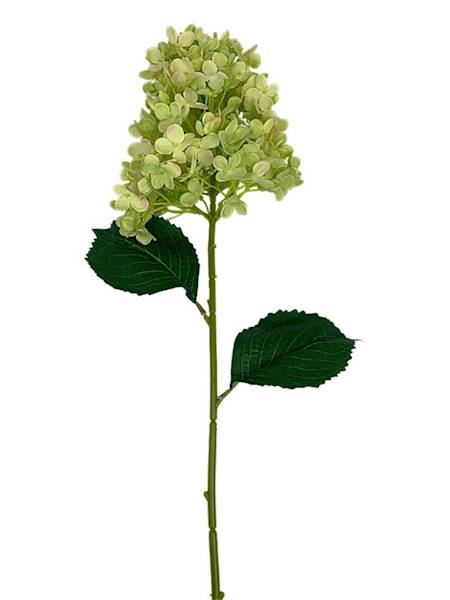 Hortensja gałązka 76 cm zielona