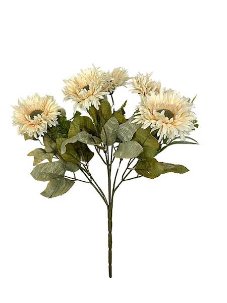 Bukiet astry 30 cm kremowe