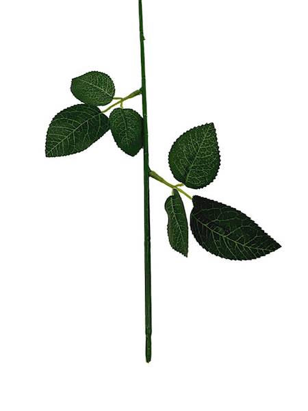 Łodyga do róży 60 cm