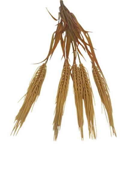 Kłosy zboża wiązka 70 cm