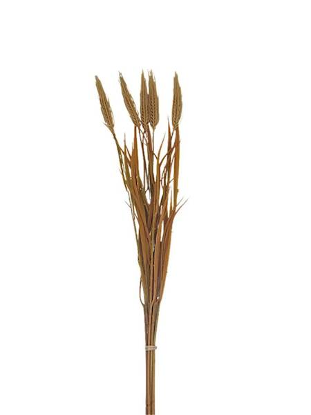 Kłosy zboża wiązka 70 cm