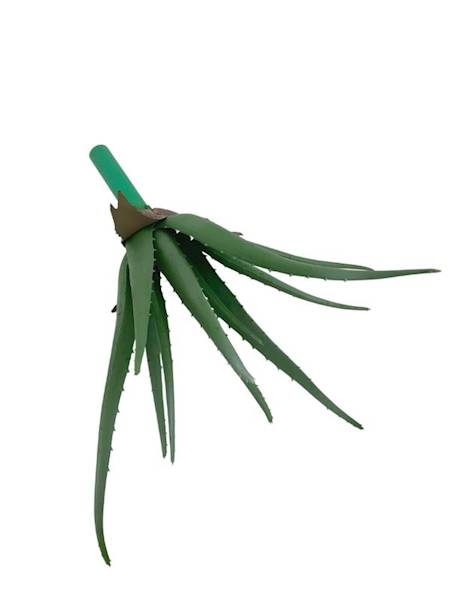 Aloes  38 cm
