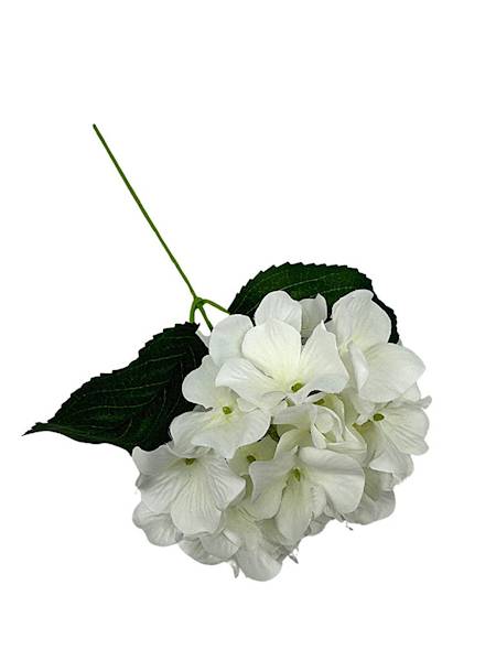 Hortensja gałązka 30 cm biała