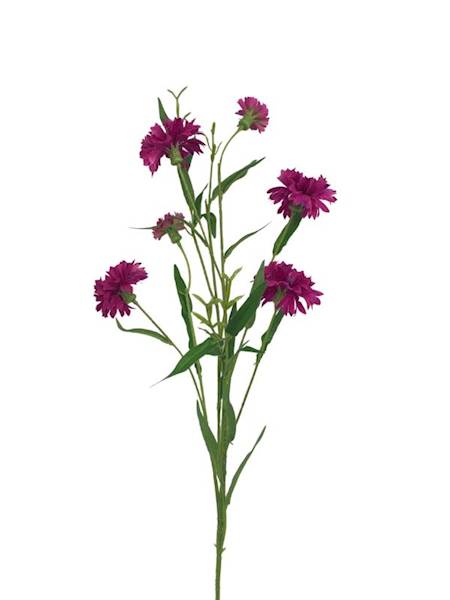 Chaber gałązka 74 cm fuksja