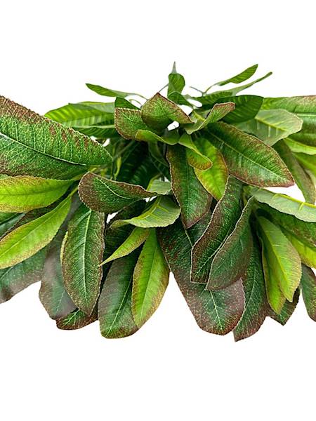 Kroton bukiet liści 50 cm