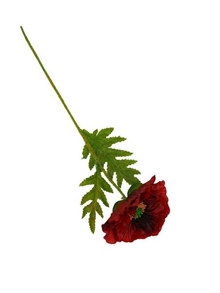 Mak gałązka 58 cm bordo