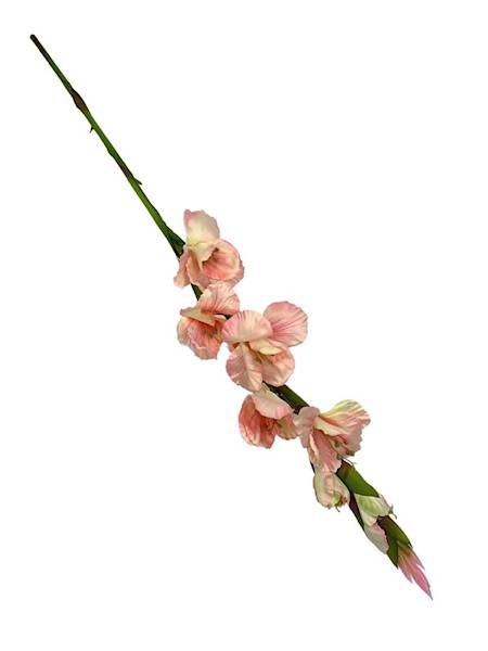 Mieczyk 85 cm jasny róż