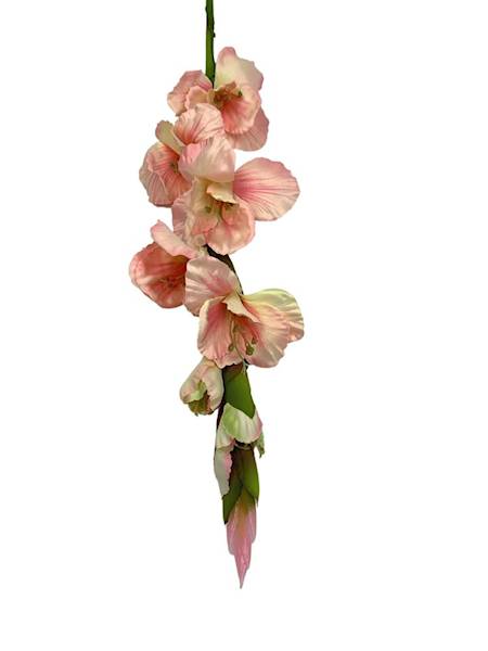 Mieczyk 85 cm jasny róż