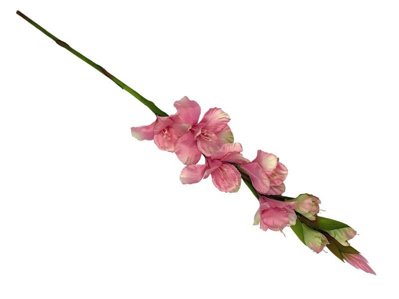 Mieczyk 85 cm różowo zielony