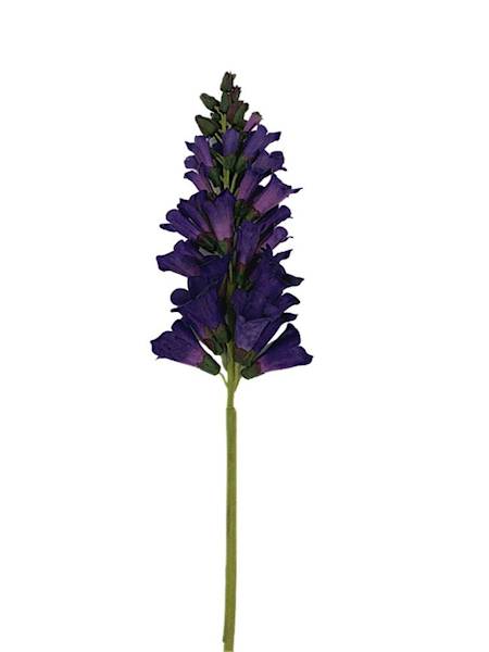 Lwia paszczka gałązka 80 cm ciemno fioletowa