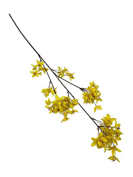Forsycja XL gałązka 87 cm żółta