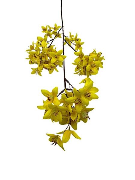 Forsycja XL gałązka 87 cm żółta