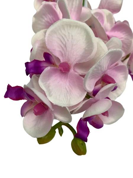 Storczyk gałązka 56 cm kremowo fioletowy