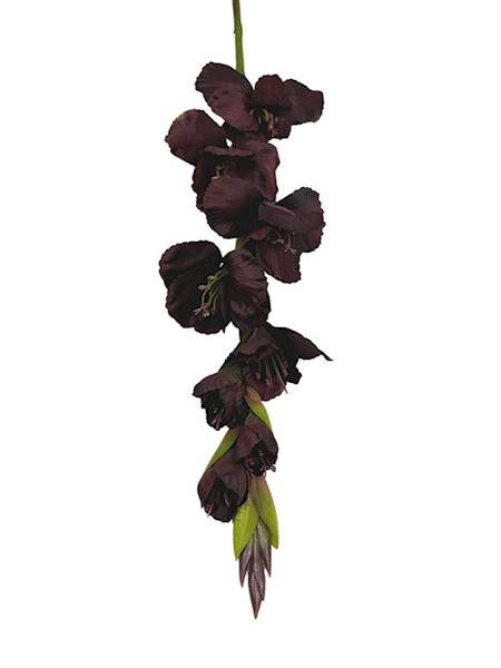 Mieczyk gałązka 85 cm ciemny brąz