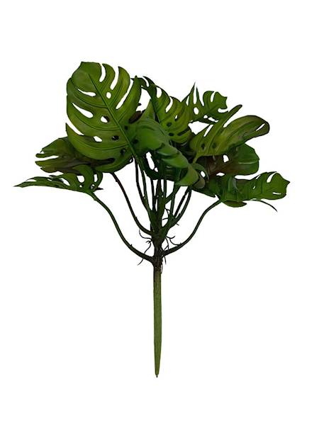 Bukiet monstera 31 cm zielony z brązem