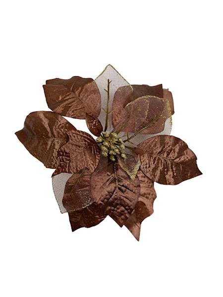 Gwiazda betlejemska główka 21 cm brązowa