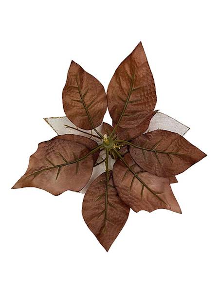 Gwiazda betlejemska główka 21 cm brązowa