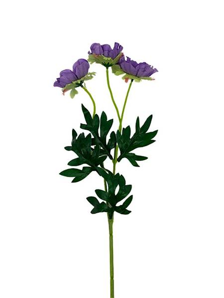 Anemon gałązka 50 cm fioletowa